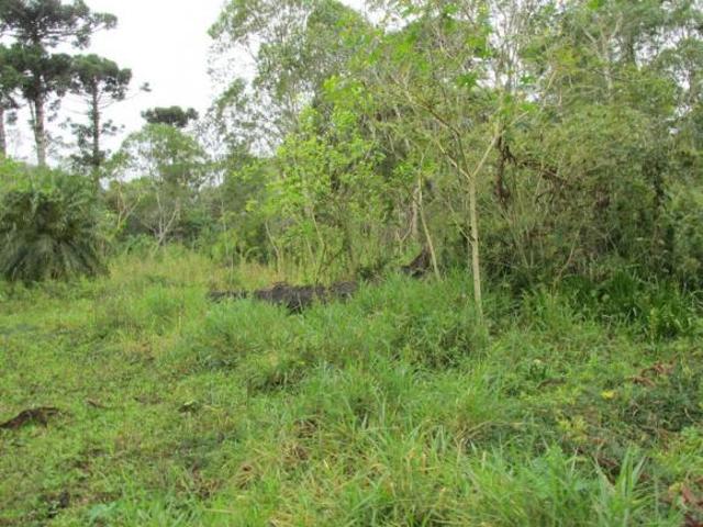 Sítio e chácara venda em Região Imediata de São Paulo, Região Metropolitana de São Paulo