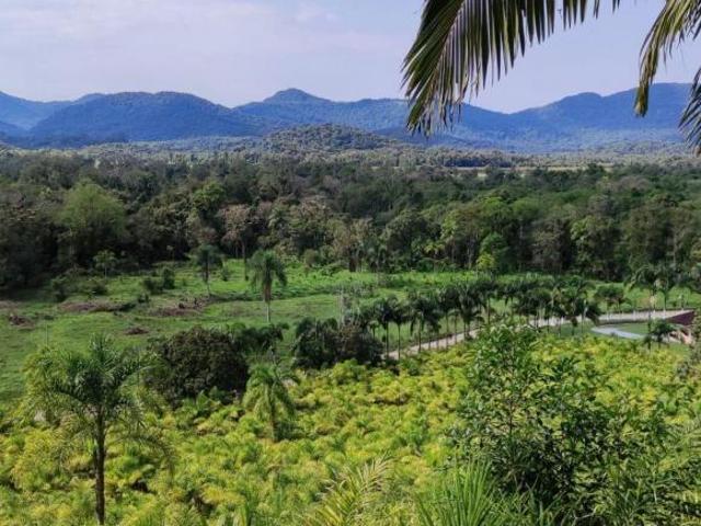 Sítio e chácara venda em Região Geográfica Imediata de Paranaguá, Região Sul