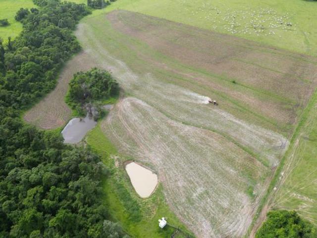Sítio e chácara venda em Pereiras, São Paulo