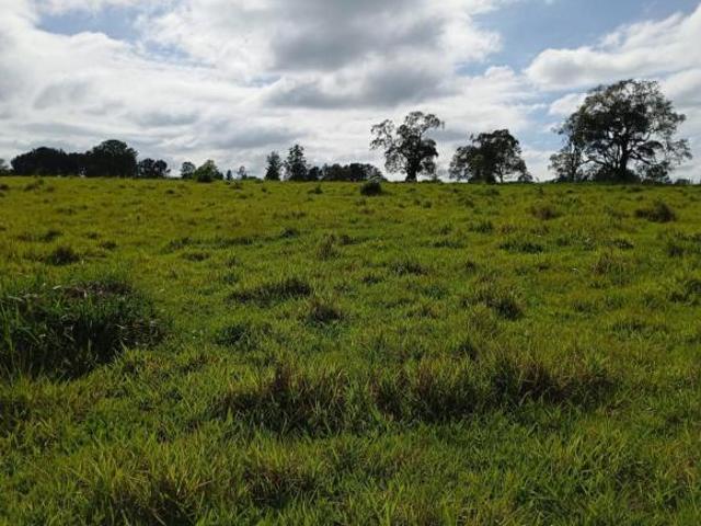 Sítio e chácara venda em Região Imediata de Itapetininga, Angatuba