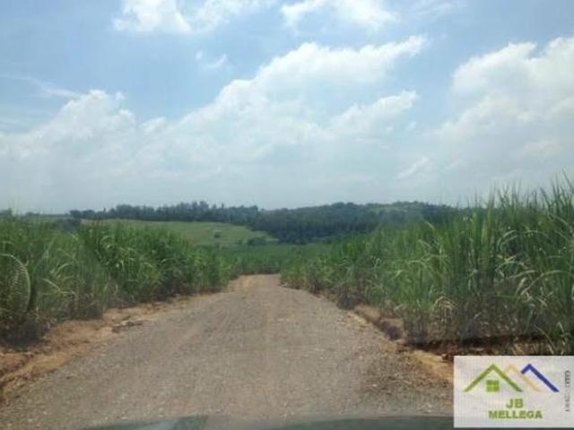 Sítio e chácara venda em Região Imediata de Araraquara, Santa Lucia