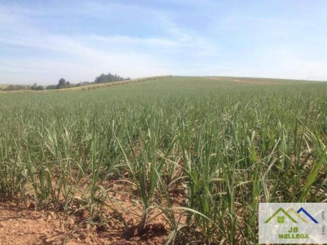 Sítio e chácara venda em Região Imediata de Araraquara, Santa Lucia