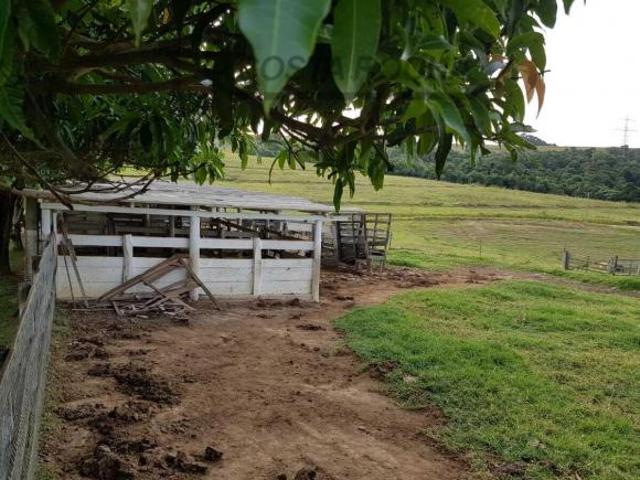 Sítio e chácara venda em Região Imediata de Campinas, Região Metropolitana de Piracicaba