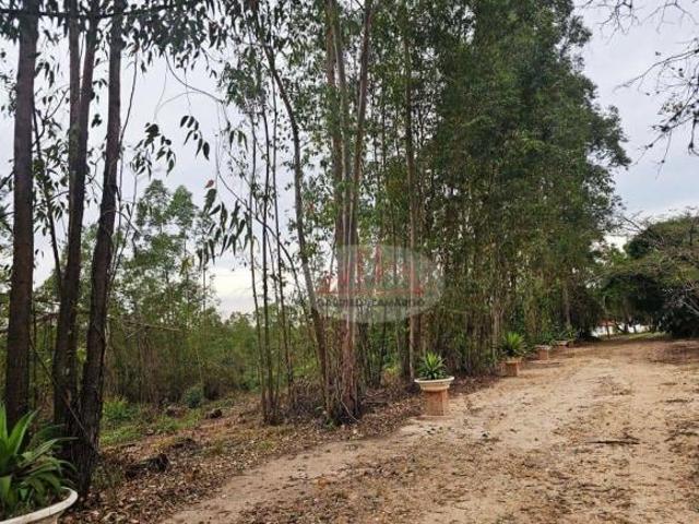 Sítio e chácara venda em Paraisolândia, Charqueada