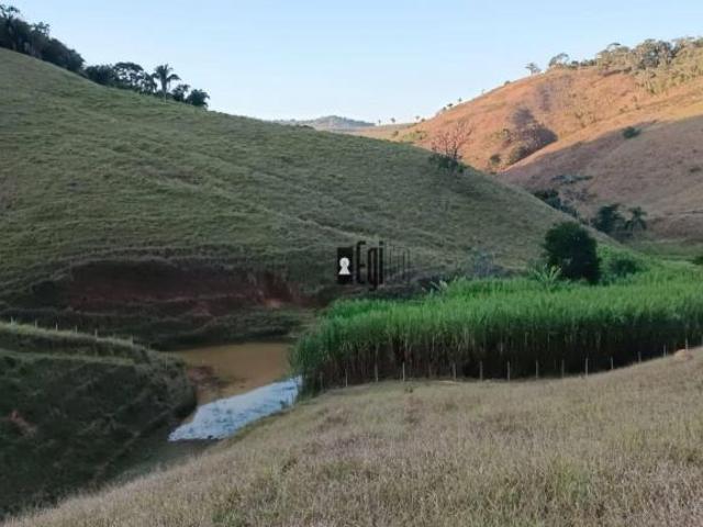 Sítio e chácara venda em Região Geográfica Imediata de Ubá, Tabuleiro