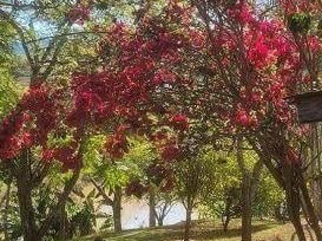 Sítio e chácara venda em Região Imediata de Guaratinguetá, Região Metropolitana do Vale do Paraíba e Litoral Norte
