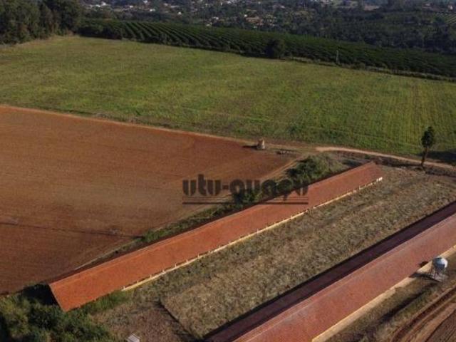 Sítio e chácara venda em Região Imediata de Sorocaba, Região Metropolitana de Sorocaba