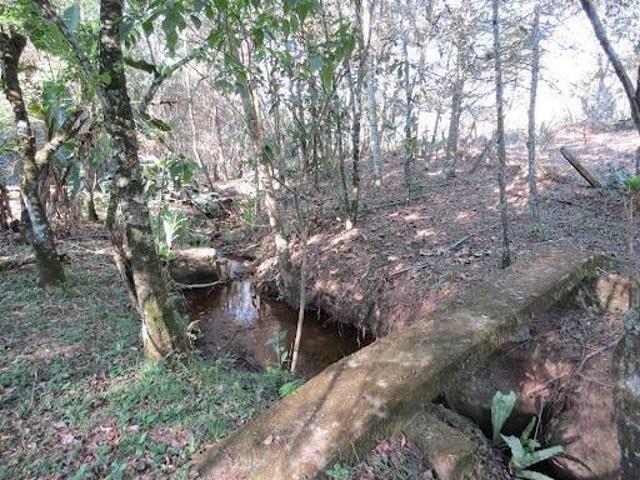 Sítio e chácara venda em Sapucaí-Mirim, Minas Gerais
