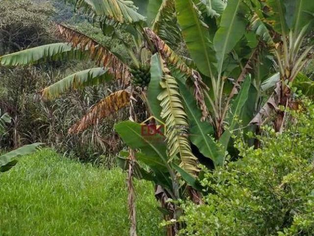 Sítio e chácara venda em Região Imediata de Guaratinguetá, Região Metropolitana do Vale do Paraíba e Litoral Norte