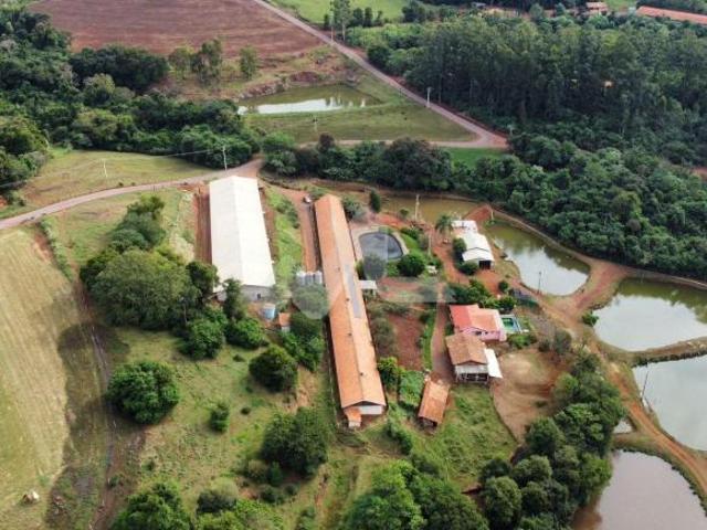 Sítio e chácara venda em Região Geográfica Imediata de Toledo, Toledo