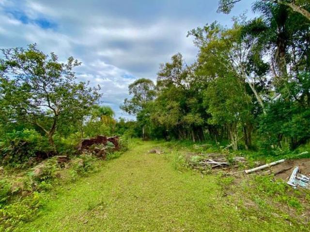Sítio e chácara venda em Região Geográfica Imediata de Novo Hamburgo - São Leopoldo, Região Metropolitana de Porto Alegre