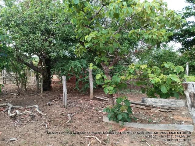 Fazenda venda em Região Geográfica Imediata de Diamantino, Alto Paraguai