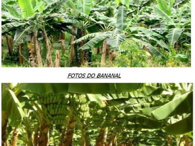 Sítio e chácara venda em Região Imediata de Registro, Juquia