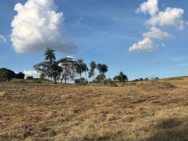 Sítio e chácara venda em Jaguariúna