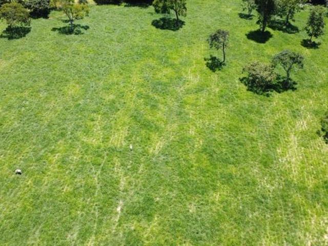 Sítio e chácara venda em Região Geográfica Imediata de Divinópolis, Cláudio