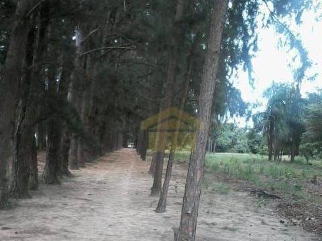 Sítio e chácara venda em Itapetininga, São Paulo