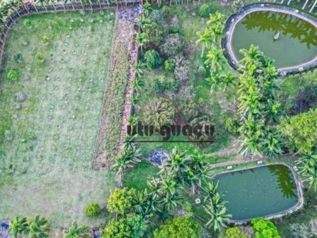 Sítio e chácara venda em Canguera, São Roque