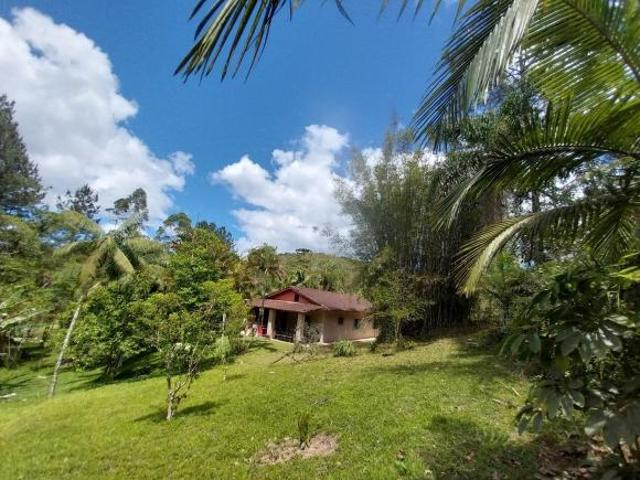 Sítio e chácara venda em Juquitiba