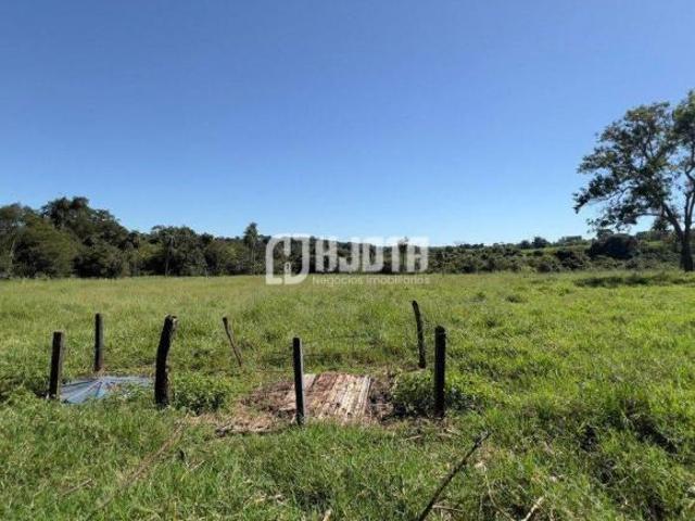Sítio e chácara venda em Região Imediata de São José do Rio Preto, Região Metropolitana de São José do Rio Preto