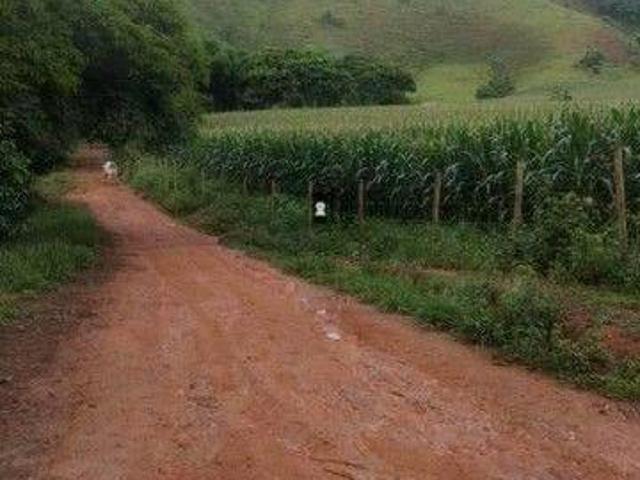 Sítio e chácara venda em Região Geográfica Imediata de Ubá, Rio Pomba