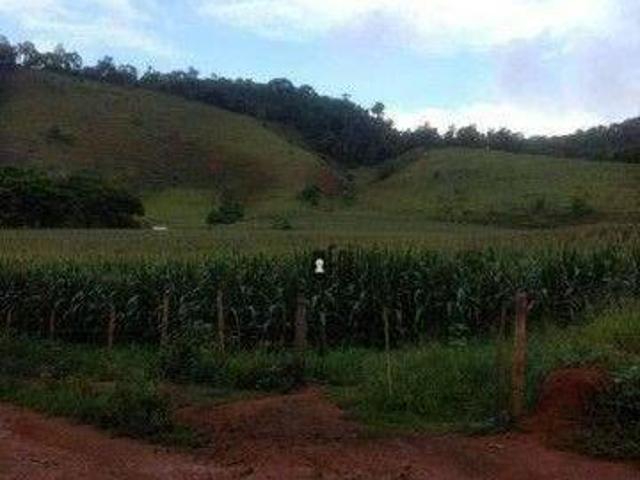 Sítio e chácara venda em Região Geográfica Imediata de Ubá, Rio Pomba