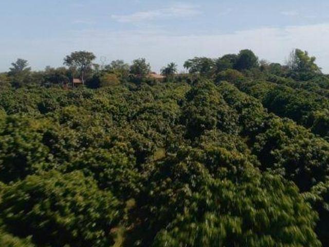 Sítio e chácara venda em Solar do Vale (proposto), Porto Feliz
