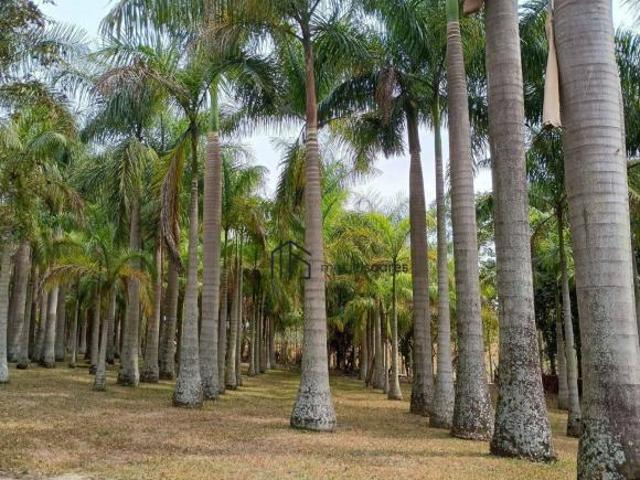 Sítio e chácara venda em Centro, Santo Antônio de Posse