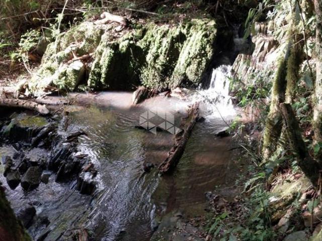 Sítio e chácara venda em Região Geográfica Imediata de Bento Gonçalves, Carlos Barbosa