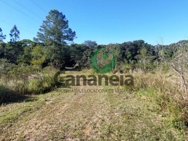 Sítio e chácara venda em Região Imediata de Registro, Cananeia