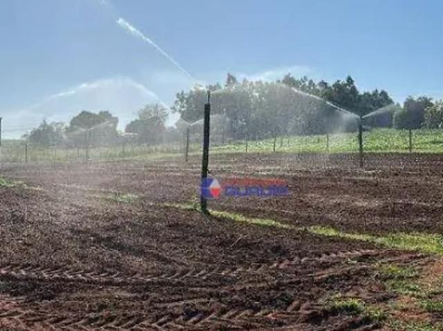 Fazenda venda em Região Imediata de Votuporanga, Álvares Florence