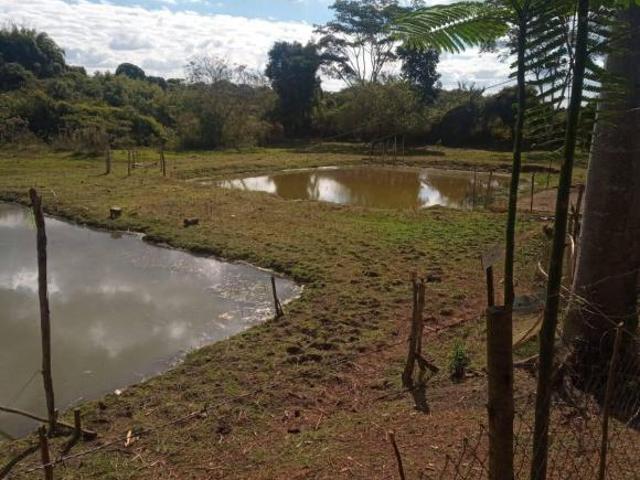 Sítio e chácara venda em Região Imediata de Limeira, Região Metropolitana de Campinas