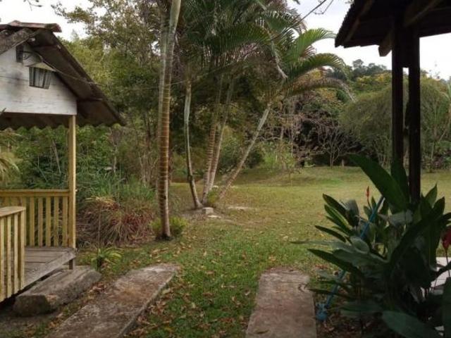 Sítio e chácara venda em Jacupiranga