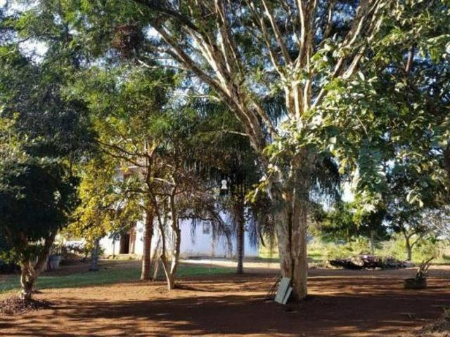 Sítio e chácara venda em Região Geográfica Imediata de Juiz de Fora, Piau