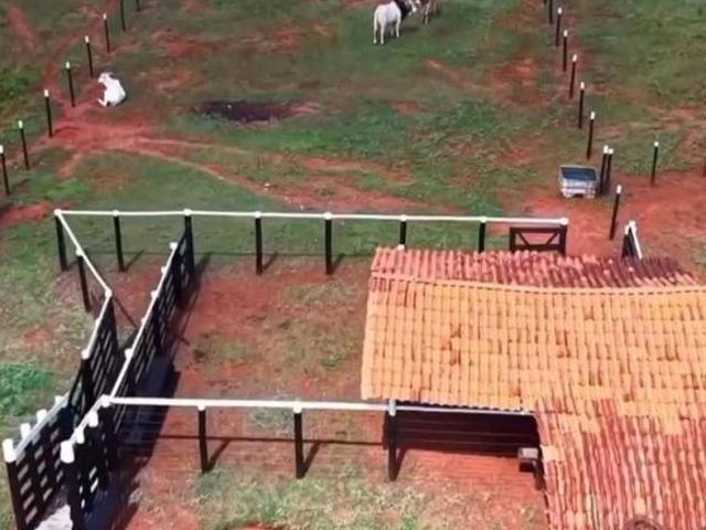 Sítio e chácara venda em Região Geográfica Imediata de Uberlândia, Oliveira Fortes
