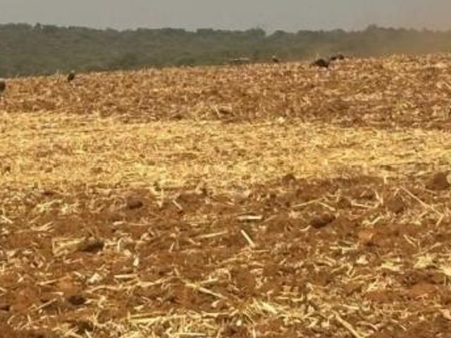 Sítio e chácara venda em Região Geográfica Imediata de Anápolis, Vianópolis