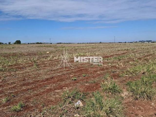 Sítio e chácara venda em Região Geográfica Imediata de Maringá, Astorga