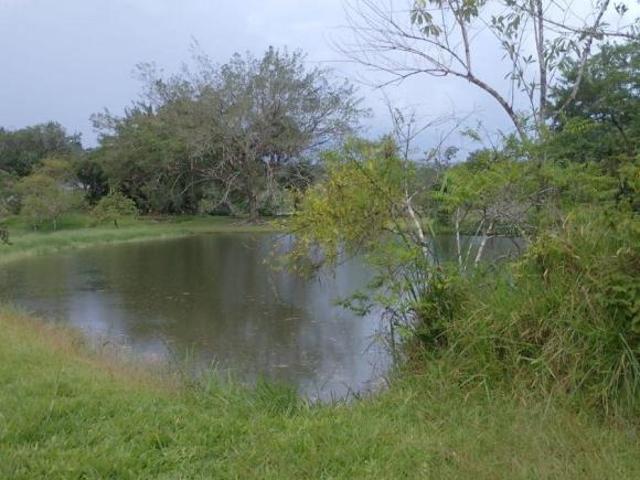 Sítio e chácara venda em Região Imediata de São Paulo, Região Metropolitana de São Paulo