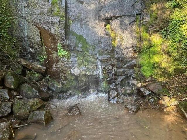 Sítio e chácara venda em Região Geográfica Imediata de Novo Hamburgo - São Leopoldo, Região Metropolitana de Porto Alegre