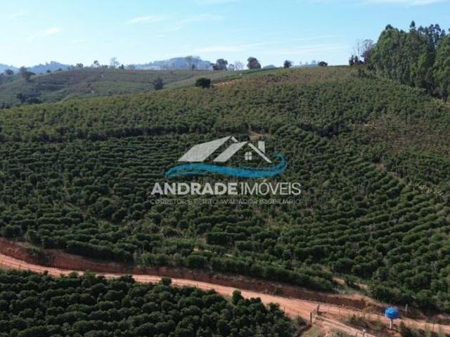 Sítio e chácara venda em Região Imediata de São José do Rio Pardo-Mococa, Caconde