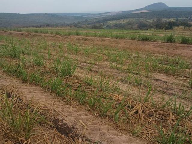 Sítio e chácara venda em Altinópolis, Região Geográfica Intermediária de Ribeirão Preto