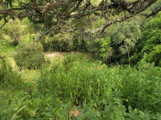 Sítio e chácara venda em Região Geográfica Imediata de Oliveira, Região Metropolitana de Belo Horizonte