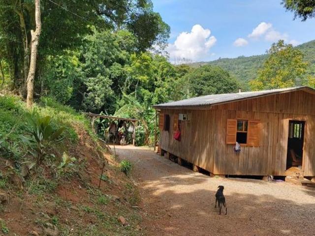 Sítio e chácara venda em Pedra Branca, São Francisco de Paula