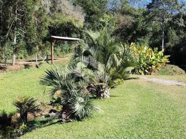Sítio e chácara venda em Região Geográfica Imediata de Nova Prata - Guaporé, Dois Lajeados