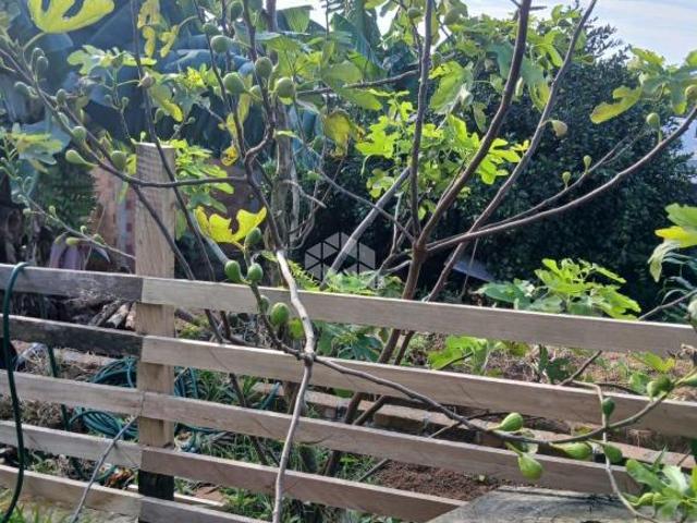Sítio e chácara venda em Região Geográfica Imediata de Novo Hamburgo - São Leopoldo, Região Metropolitana de Porto Alegre