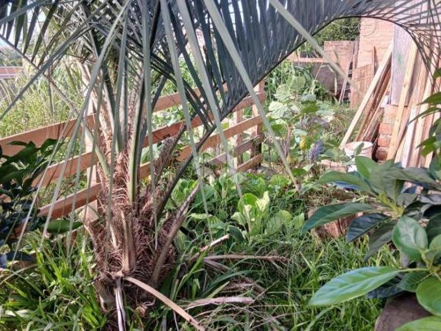 Sítio e chácara venda em Região Geográfica Imediata de Novo Hamburgo - São Leopoldo, Região Metropolitana de Porto Alegre