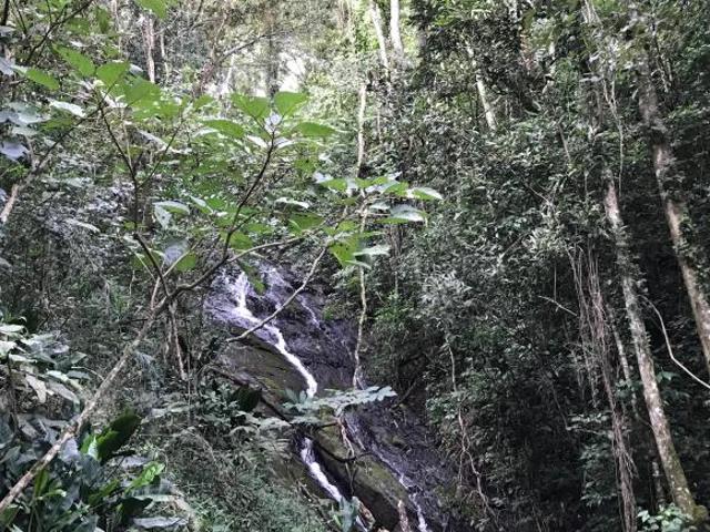 Sítio e chácara venda em Região Geográfica Imediata de Itajubá, Paraisópolis