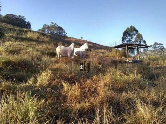 Sítio e chácara venda em Região Geográfica Imediata de Barbacena, Barbacena