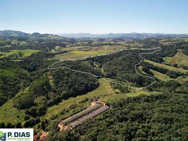 Sítio e chácara venda em Região Imediata de Amparo, Monte Alegre do Sul