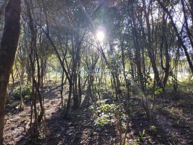Sítio e chácara venda em Região Geográfica Imediata de Taquara - Parobé - Igrejinha, Região Metropolitana de Porto Alegre