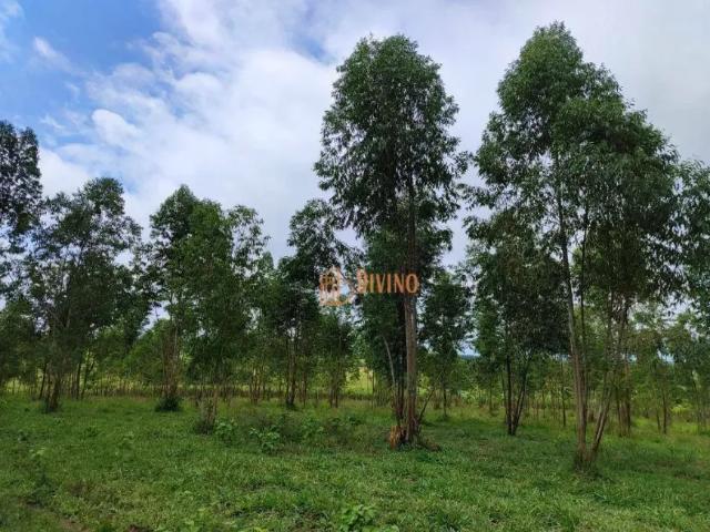 Fazenda venda em Tatuí